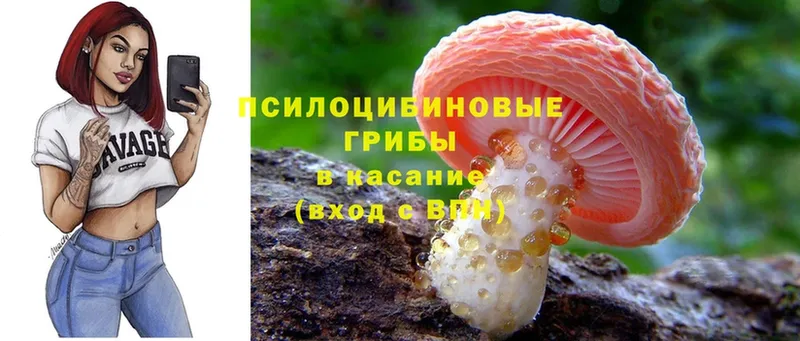 даркнет сайт  Заречный  Псилоцибиновые грибы Cubensis 